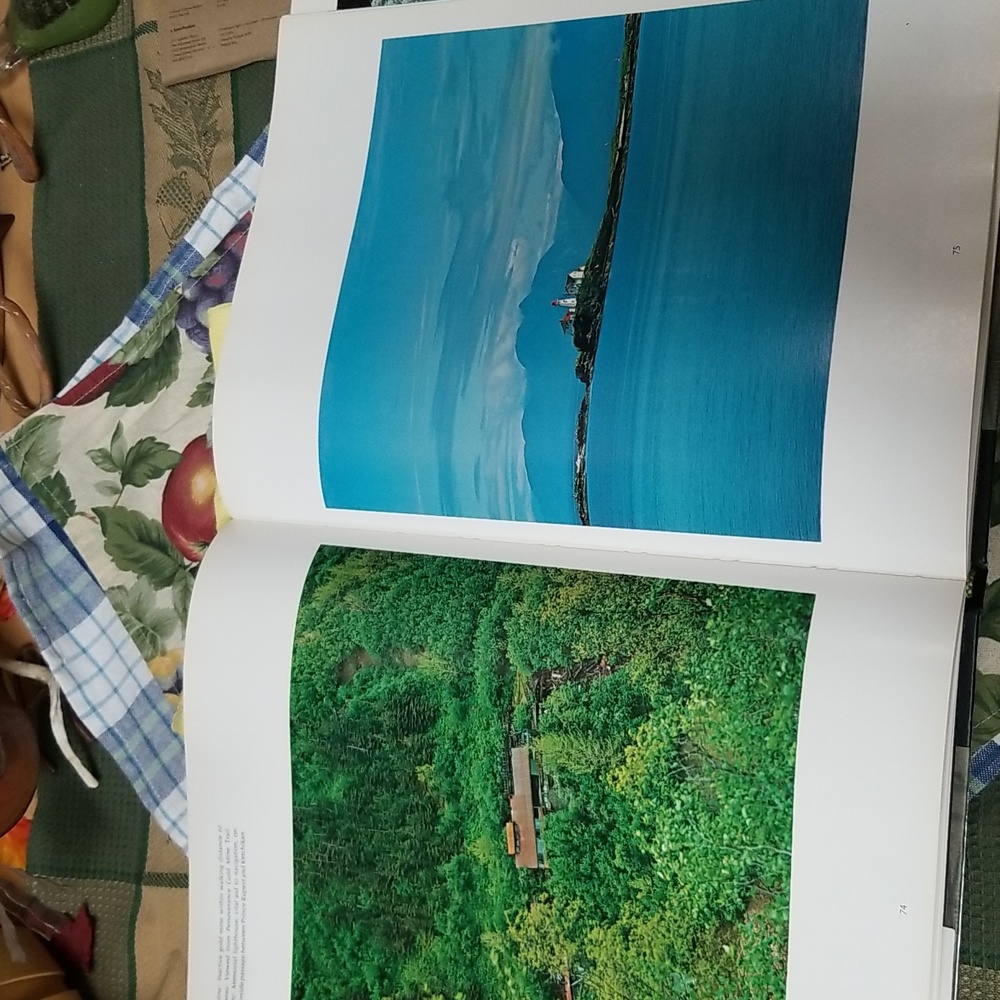 ✨ALASKA PHOTO BOOK - Picture 6 of 12
